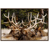 Racks Framed Art