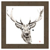 Elk Framed Canvas