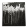 Frosted Treetops Canvas Wall Art