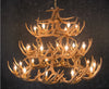 Whitetail 42 Antler Chandelier - SALE