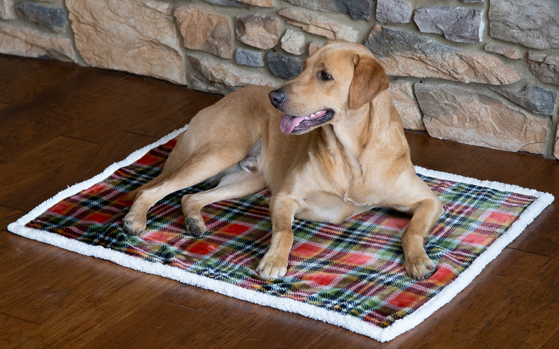 Glasgow Plaid Dog Blanket with White Sherpa - Large/X-Large - OUT OF STOCK UNTIL 06/22/2026