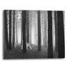 Mystic Woods Canvas Wall Art