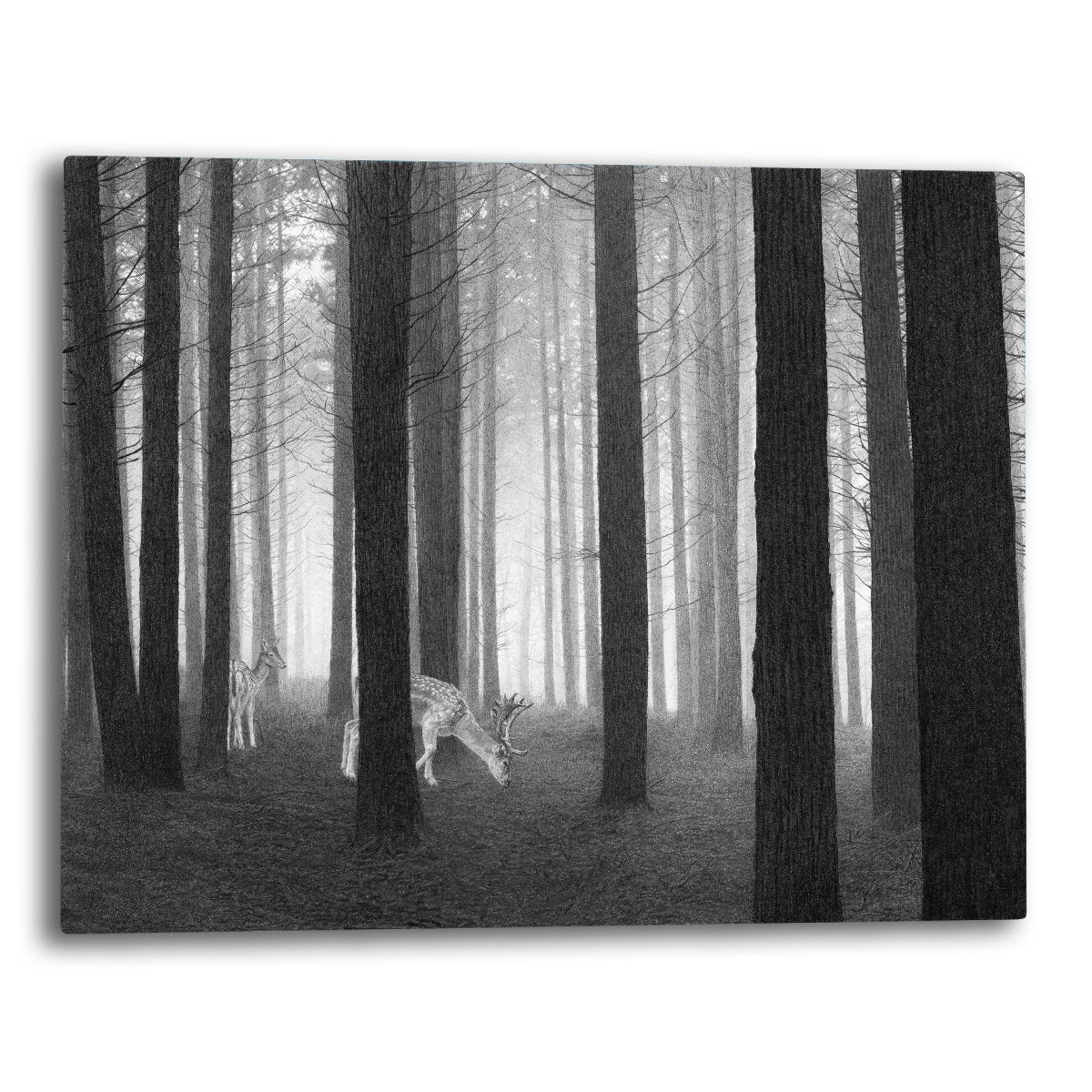 Mystic Woods Canvas Wall Art