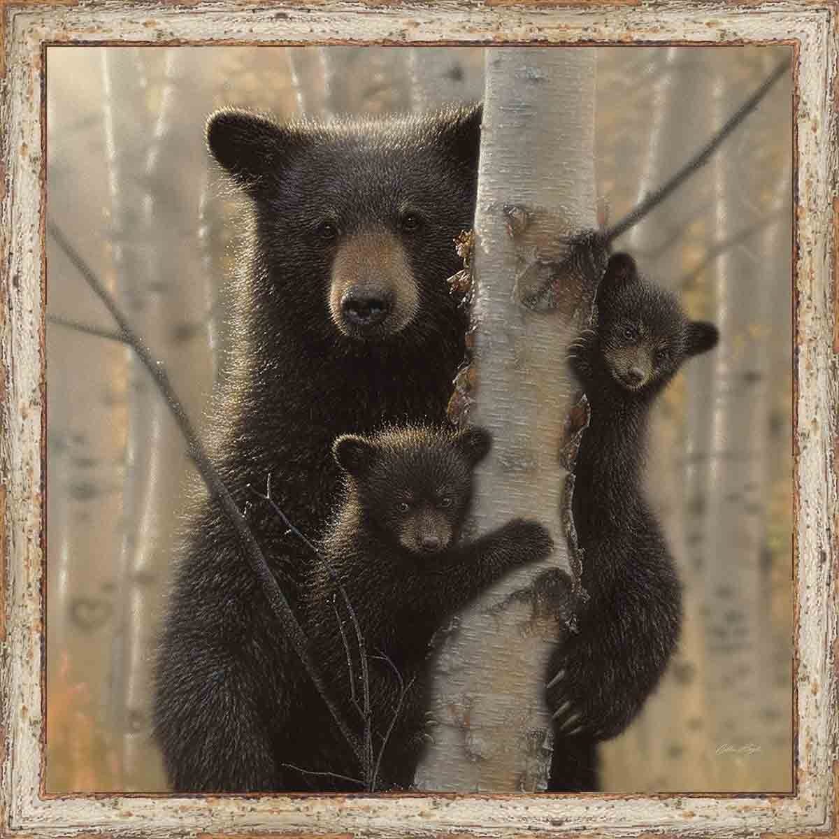 Cub Watch Wall Art