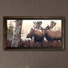 Yukon Moose Personalized Framed Canvas