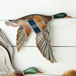 Majestic Mallard Metal Wall Art - Wings Down