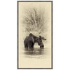 Moose II Framed Canvas