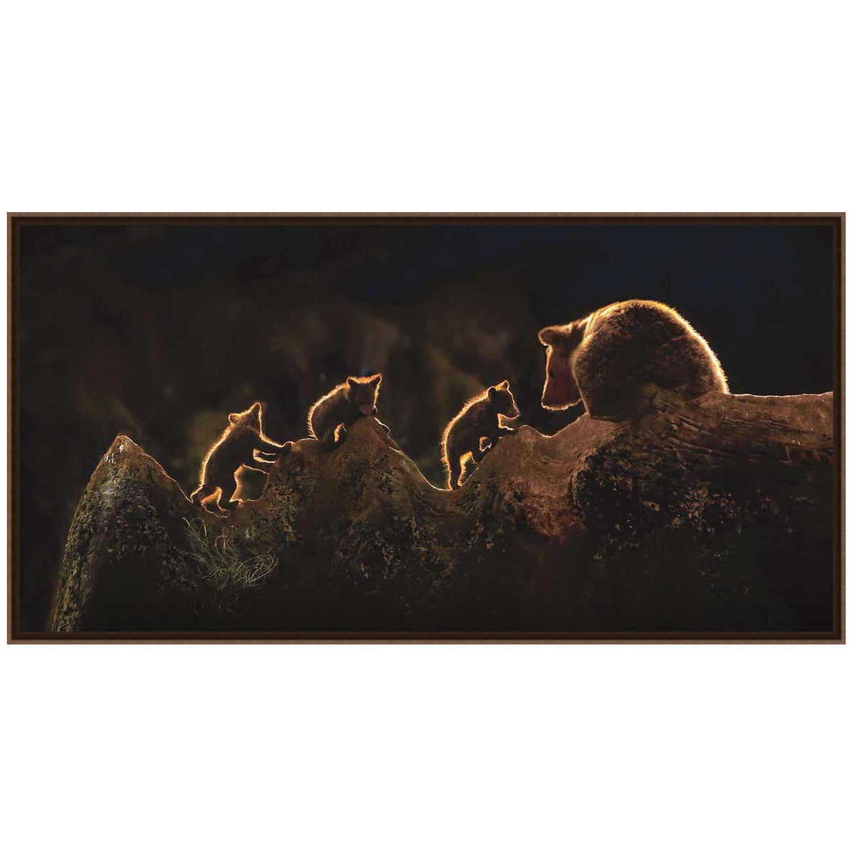 Cub Trio Framed Art