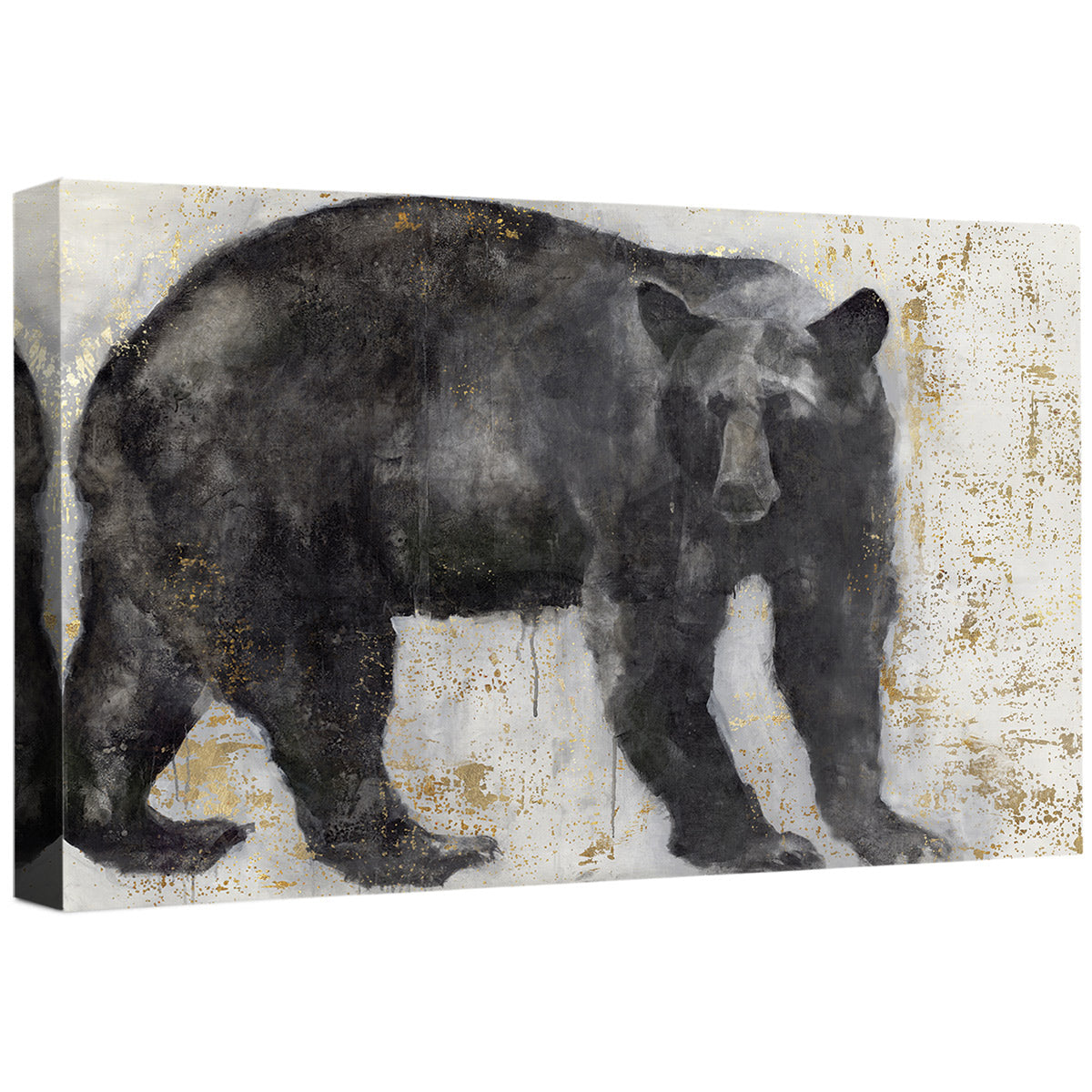 Watercolor Black Bear Canvas Wall Art