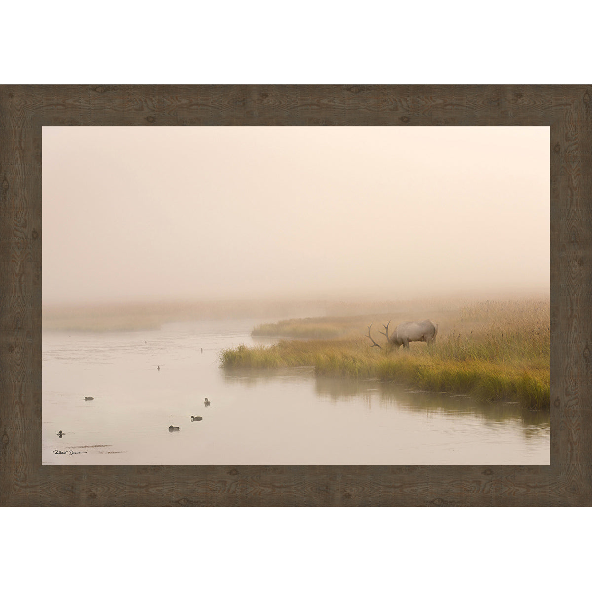 Foggy Morning Pond Framed Canvas
