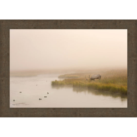 Foggy Morning Pond Framed Canvas