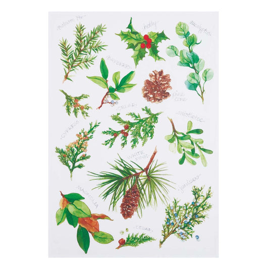 Fallen Twigs Kitchen Towels - Set of 4