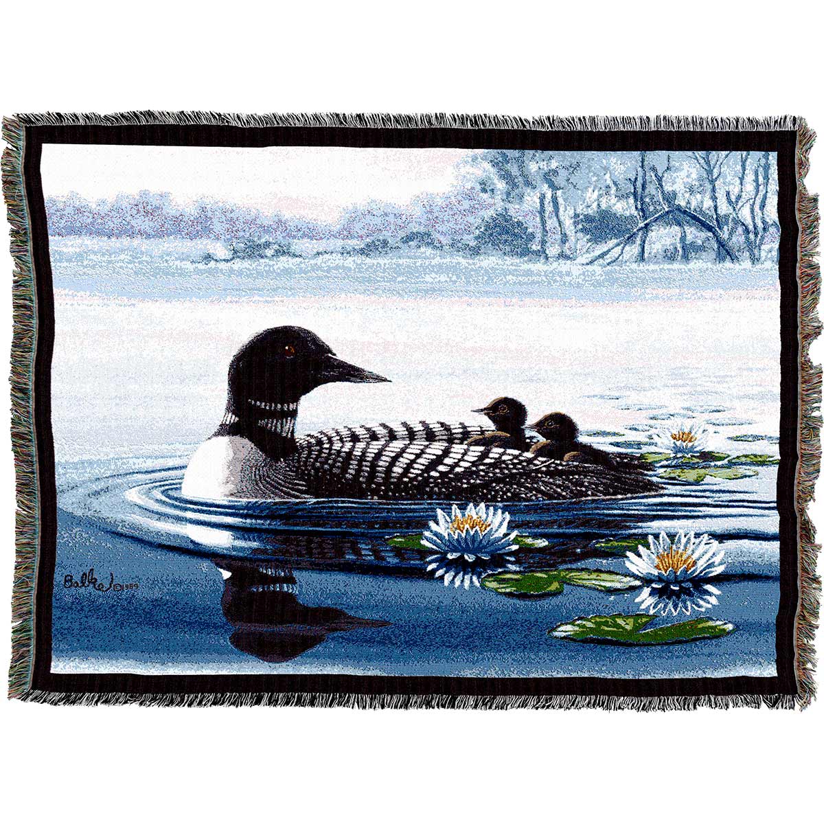 Loons Blanket