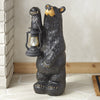 Koleman Grand Bear with Lantern