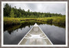 Canoeing Through the Forest Framed Wall Art