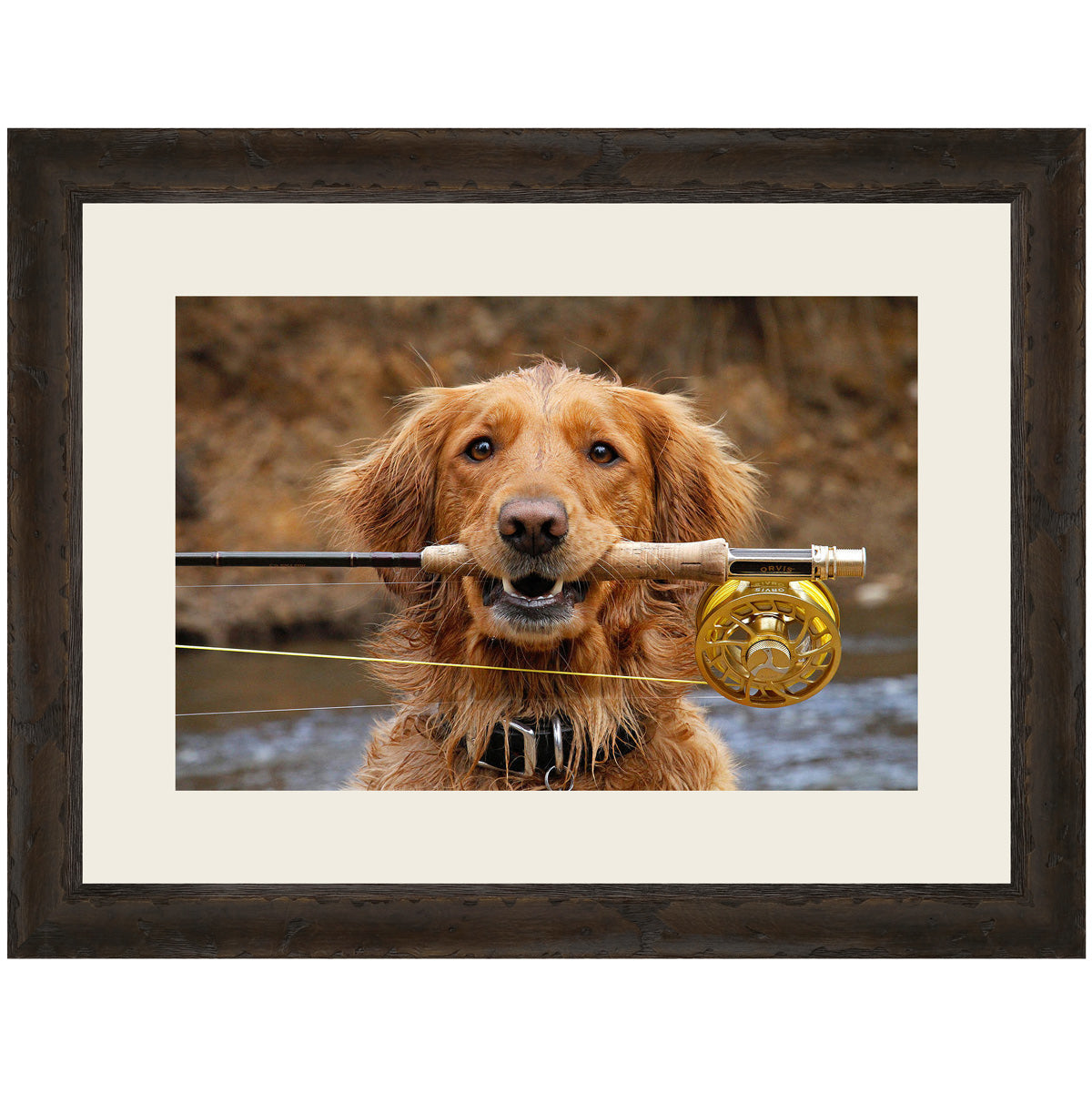 Lets Go Fishing Canvas Art