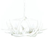 Whitetail Deer 6 Antler White Chandelier