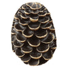 3-D Pinecone Cabinet Knobs - Set of 2