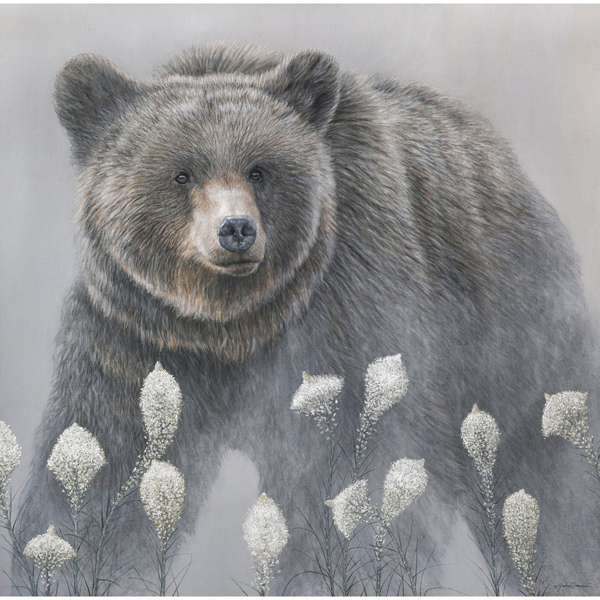 Beargrass Limited Edition Print