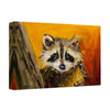 Racoon Portrait Wrapped Canvas