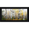 Morning Birch Grove Personalized Framed Canvas