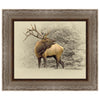 Bugling Bull Elk Framed Canvas