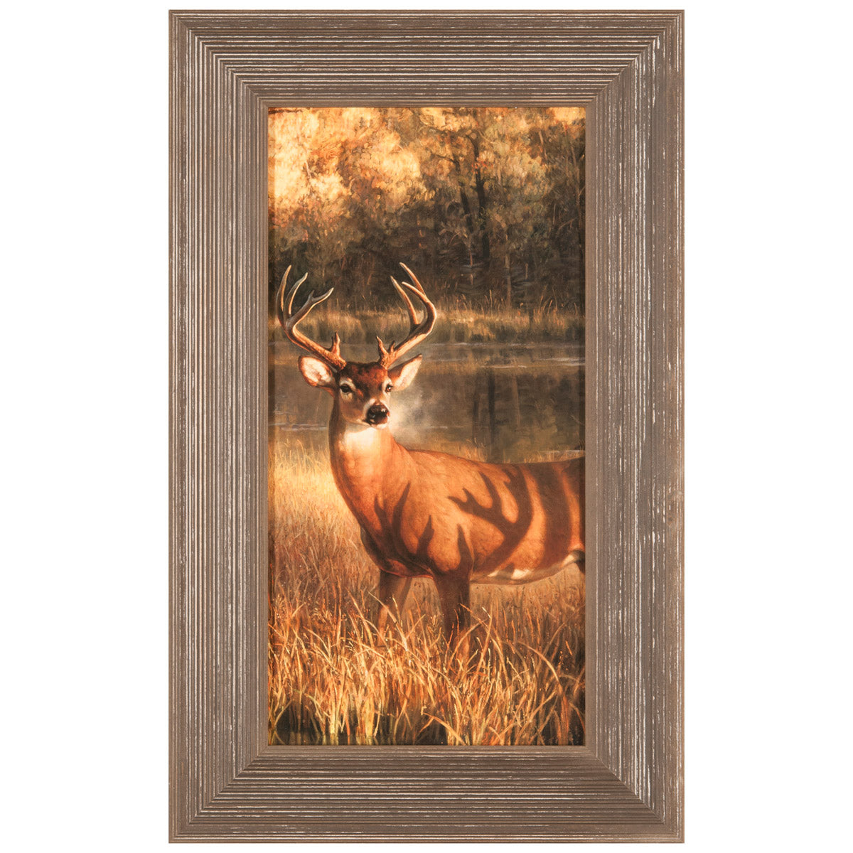 Shadow Time Framed Canvas