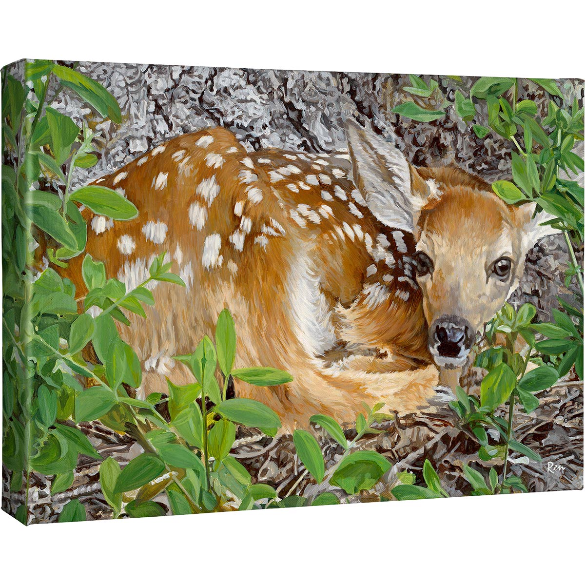 Whitetail Canvas Art
