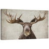 Elmer Mirror Wrapped Canvas