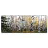 Morning Birch Grove Personalized Stretched Canvas