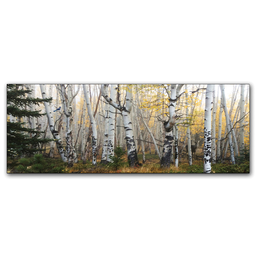 Morning Birch Grove Personalized Stretched Canvas