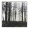 Misty Forest Framed Wall Art