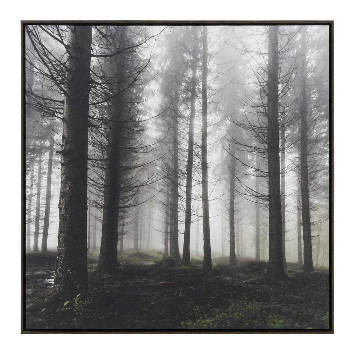 Misty Forest Framed Wall Art
