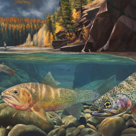 A Secret Spot Limited Edition Print