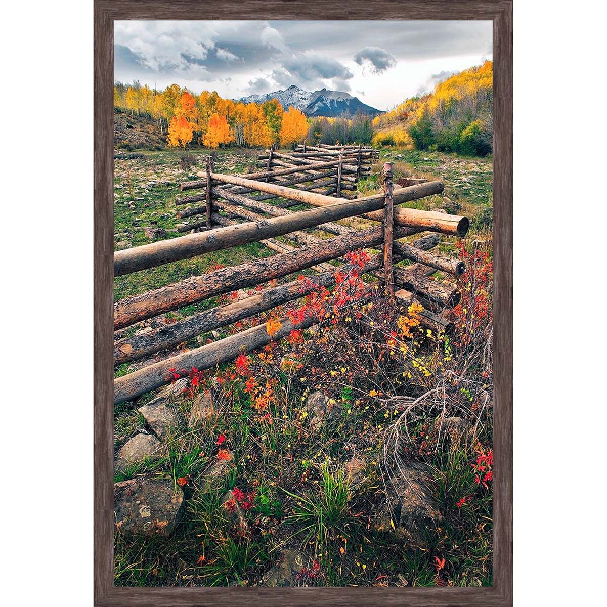 Colorado Divide Wall Art