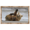 Bear High Five Framed Canvas