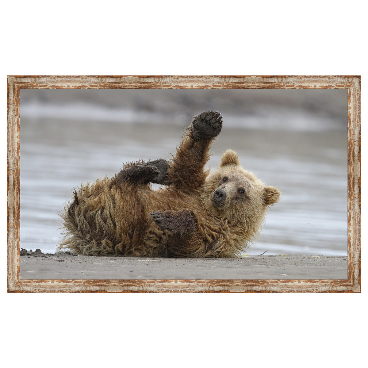 Bear High Five Framed Canvas