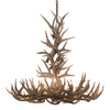 36 Inch Whitetail & Mule Deer Antler Chandelier - 8 Light