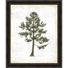 Evergreen Journal I Framed Canvas