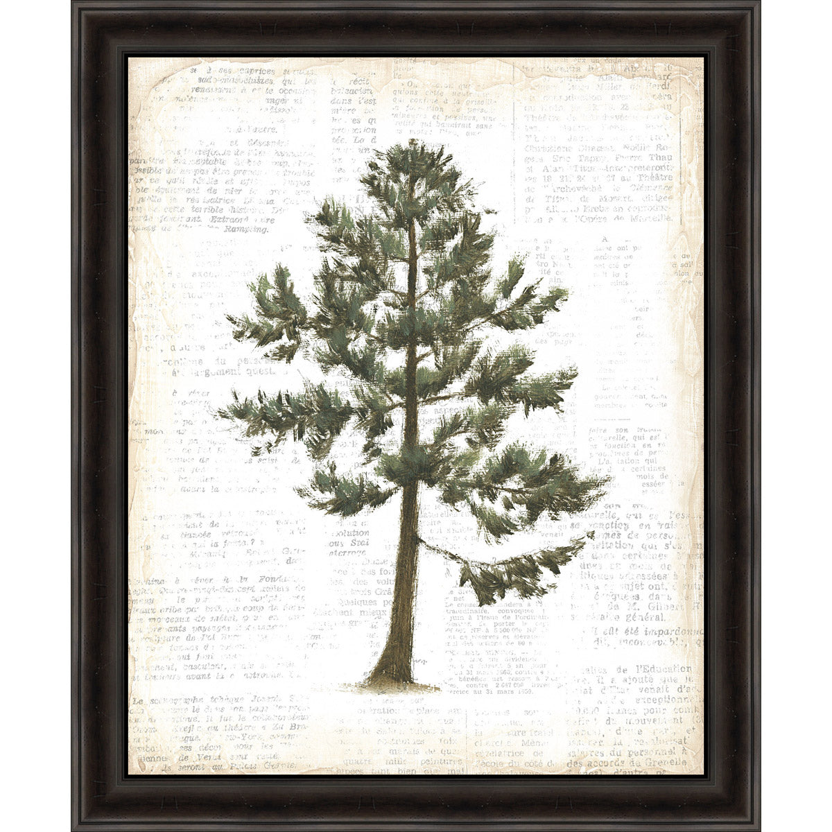 Evergreen Journal I Framed Canvas
