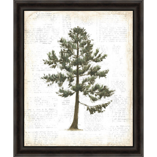 Evergreen Journal I Framed Canvas
