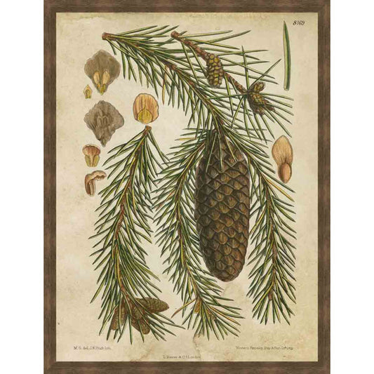 Vintage Conifers I Wall Art