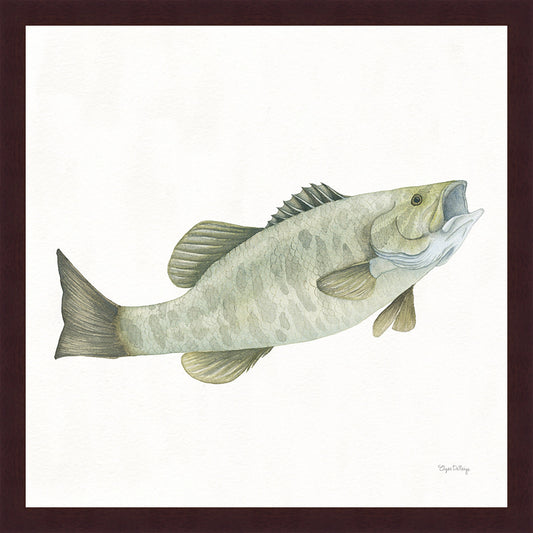 River Rapids Small Mouth Bass Wall Art