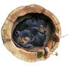 Forest Bear Slumber Wall Art