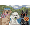 Paddle Pals Floor Mat - 3 x 4 - OUT OF STOCK UNTIL 06/12/2026
