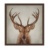 Stag Portrait Framed Canvas
