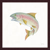 River Rapids Trout Wall Art