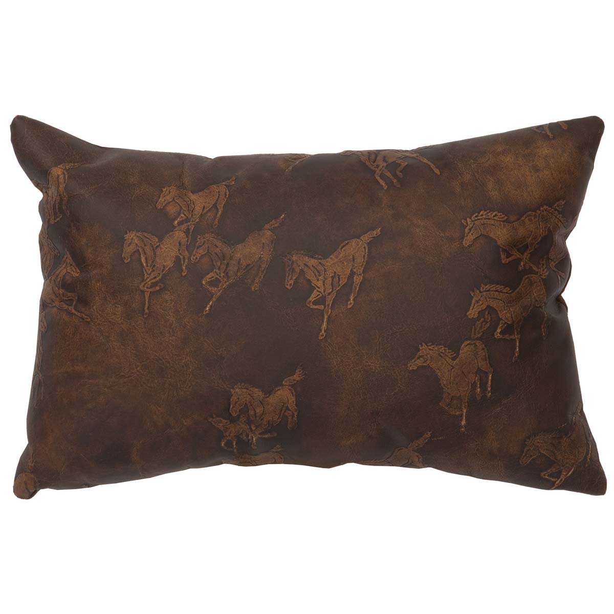 Settler Leather Rectangle Pillow with Leather Back