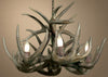 Real Single Tier White-tail Deer Chandelier - Large