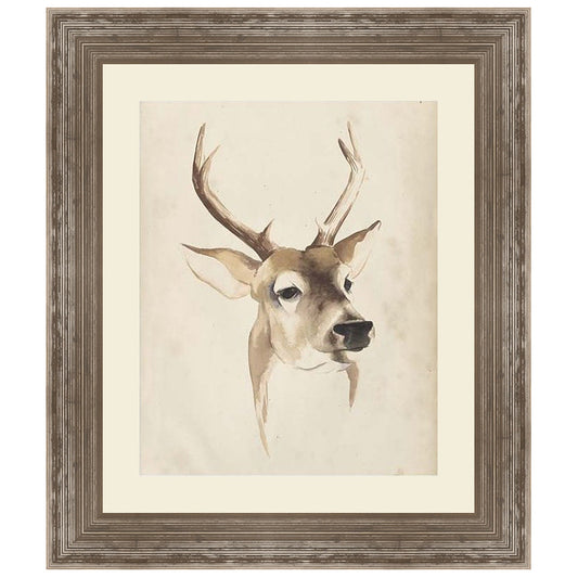 Watercolor Animal Study IV with Mat Framed Print